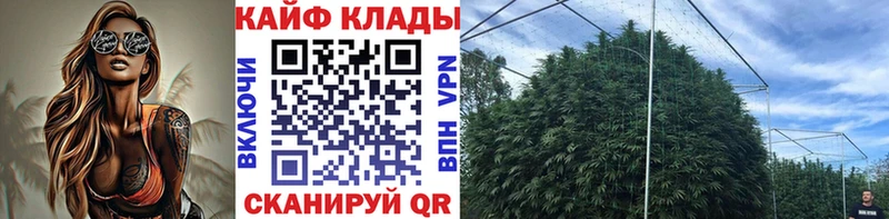 Купить наркотики Кяхта Псилоцибиновые грибы Амфетамин Марихуана Мефедрон Cocaine