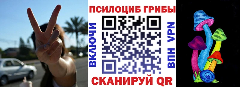 Псилоцибиновые грибы GOLDEN TEACHER  купить   Кяхта 
